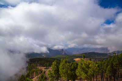 Scenic view of landscape against sky