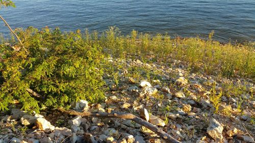 Rocks on coast