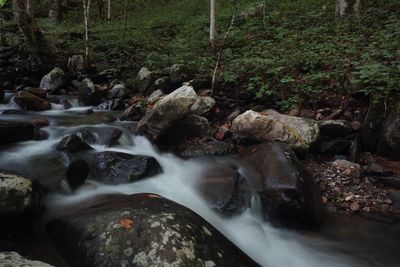 Stream flowing through rocks in forest