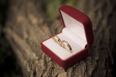 Close-up of wedding rings in box on branch