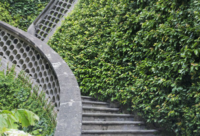 Close-up of plants against trees