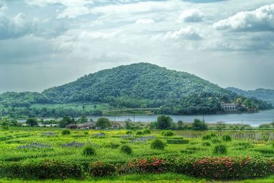 Countryside landscape against cloudy sky