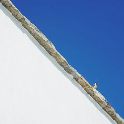 Low angle view of bird perching on building against clear blue sky