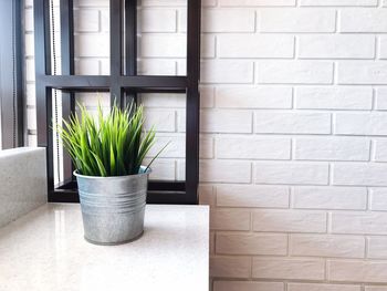 Potted plant against wall at home