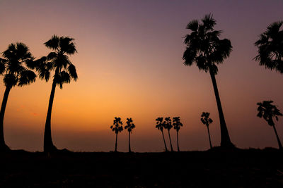 Silhouette palm trees against sky during sunset