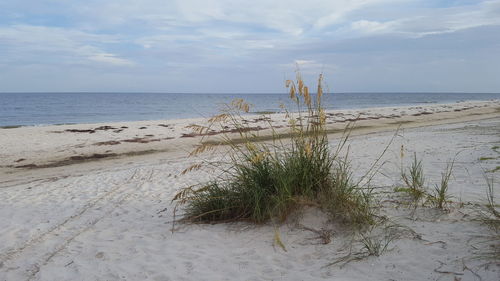 Scenic view of beach against sky