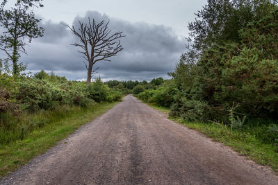 Road amidst trees against sky