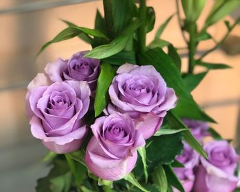 Close-up of rose bouquet