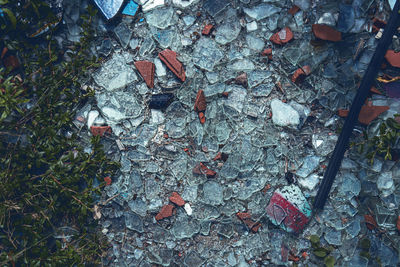 High angle view of dry leaves on field