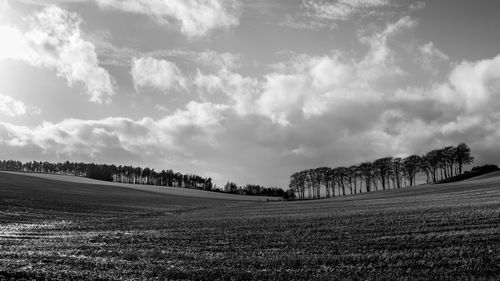 Panoramic view of field against sky