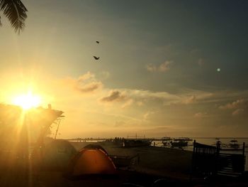 Silhouette birds flying over sea against sky during sunset