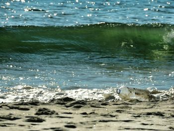 View of waves in sea