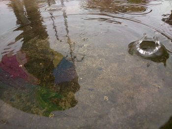 High angle view of puddle in lake