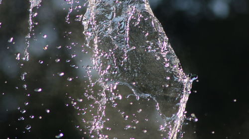 Close-up of water drops on plant