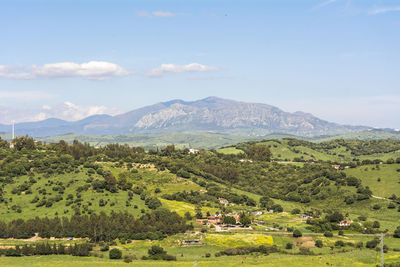 landscape