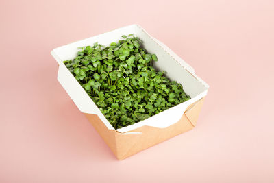 Microgreens in a disposable eco paper box of sunflower seeds. idea for a healthy vegan food delivery