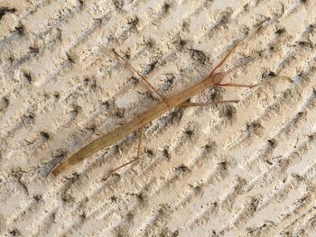 Full frame shot of white background