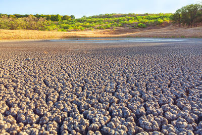 Drought and cracked lake bottom . climate change concept . dry summer scenery