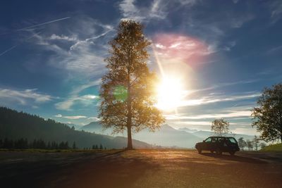 Car by trees on field against bright sky