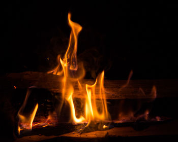 Close-up of bonfire at night