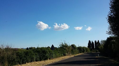 Road by trees against blue sky