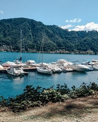 Sailboats moored on sea against sky