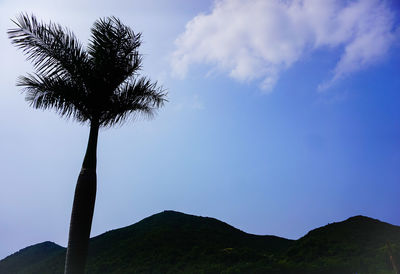 Low angle view of silhouette coconut palm tree against sky