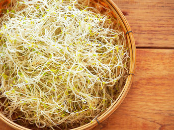 Fresh organic alfalfa sprouts on wooden table for healthy food 