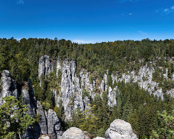 Plants growing on rock against sky
