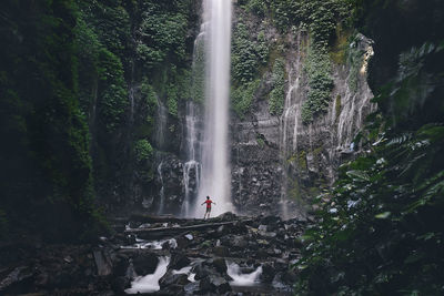 View of waterfall in forest