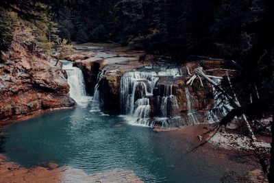 Scenic view of waterfall in forest