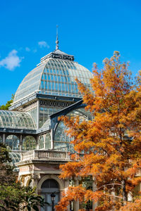 Low angle view of building by trees against blue sky