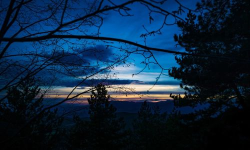 Silhouette trees on landscape against blue sky