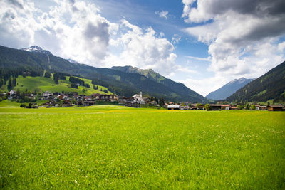 Scenic view of agricultural field against sky