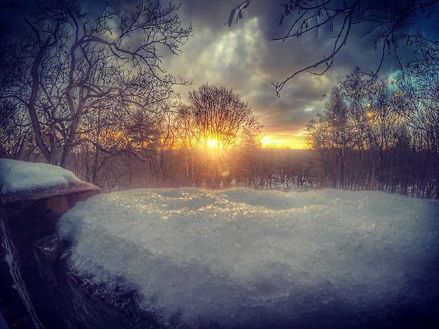 snow, winter, cold temperature, sun, sunset, tranquility, tranquil scene, bare tree, tree, sky, scenics, beauty in nature, season, weather, nature, sunlight, cloud - sky, covering, landscape, silhouette