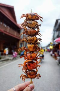 Close-up of hand holding cooked crabs on street