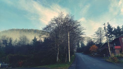 Road amidst trees against sky