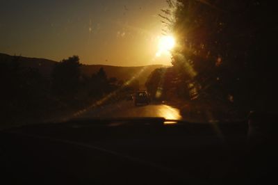 Sun shining through trees