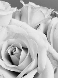 Close-up of rose bouquet