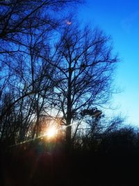 Low angle view of silhouette trees against sky during sunset