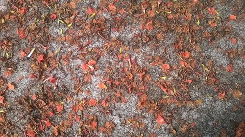 Full frame shot of abstract background