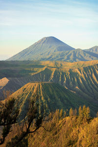 Sunrise in bromo