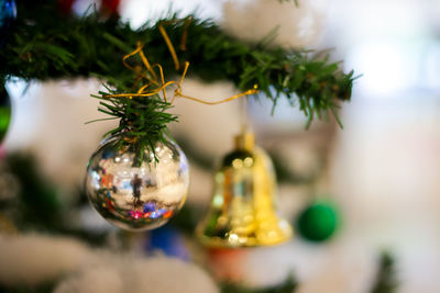 Close-up of christmas decoration hanging on tree