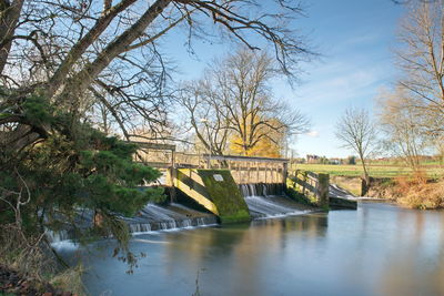 Bridge over trees against sky