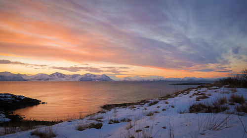 Snow covered beach against scenic sky