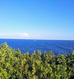 Scenic view of sea against blue sky