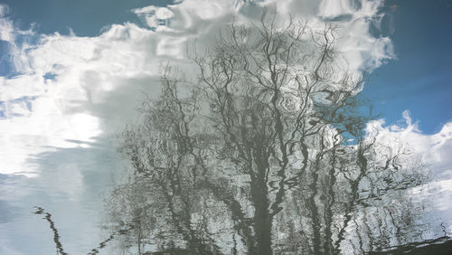 Low angle view of bare trees against sky