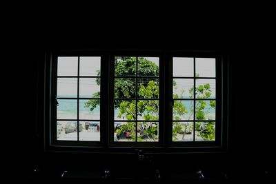 View of trees through window