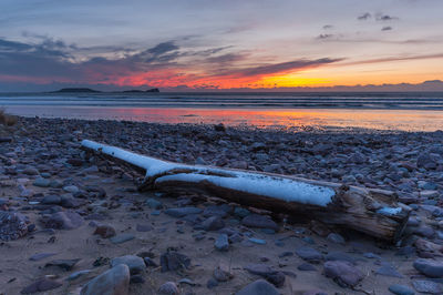 Driftwood on beach against sky during sunset