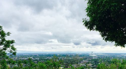 Trees and plants against sky